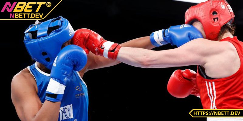 Cá Cược Boxing - Hướng Dẫn Chi Tiết, Cẩm Nang Thắng Lớn 6 Cược tỷ số chính xác
