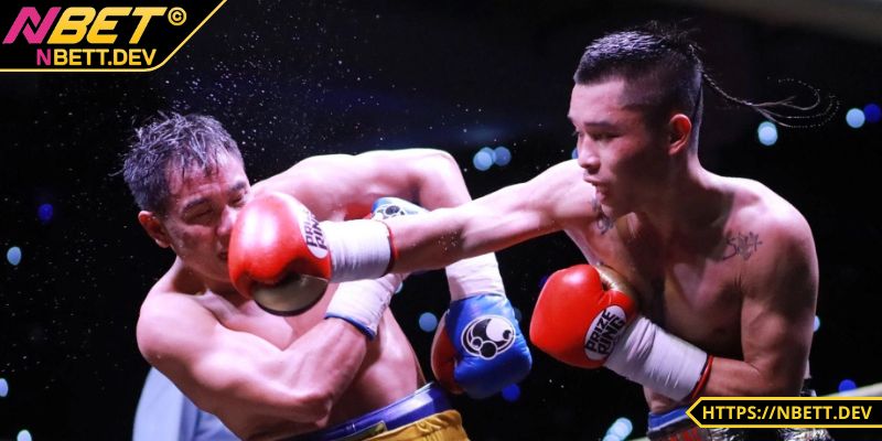Cá Cược Boxing - Hướng Dẫn Chi Tiết, Cẩm Nang Thắng Lớn 5 Kèo thắng thua là loại kèo cơ bản nhất