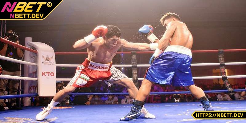 Cá Cược Boxing - Hướng Dẫn Chi Tiết, Cẩm Nang Thắng Lớn 4 Thông tin về cá cược Boxing